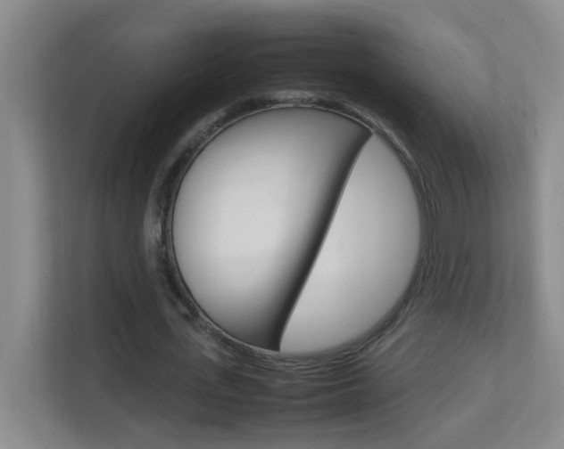 X0000113870723200909241005