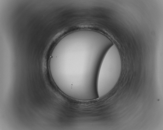X0000113870727200909241005