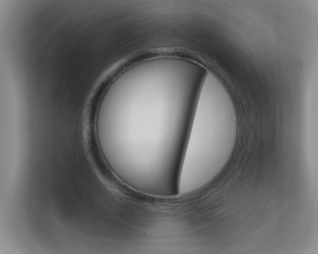 X0000113870728200909241005