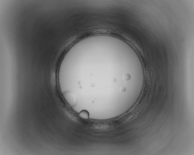 X0000113870729200909241005
