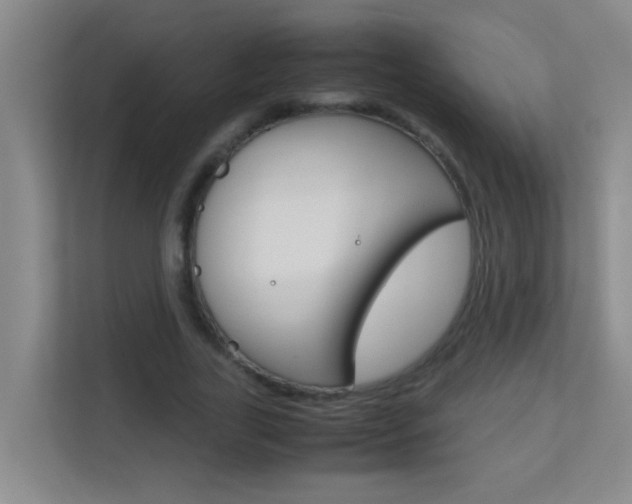 X0000113870731200909241006