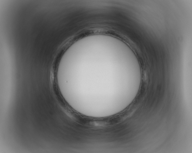 X0000113870733200909241006