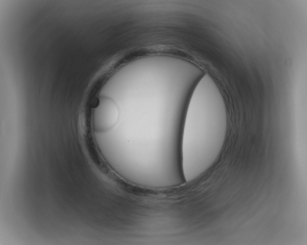 X0000113870734200909241006