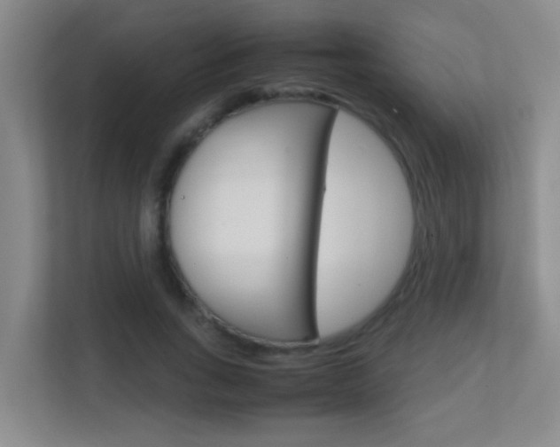 X0000113870735200909241006