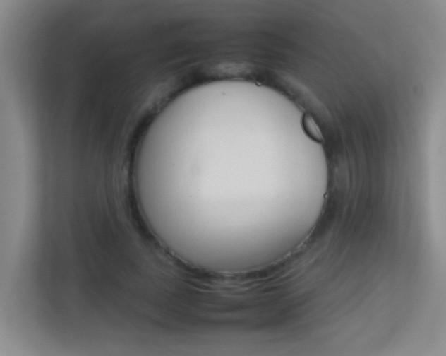 X0000113870739200909241006