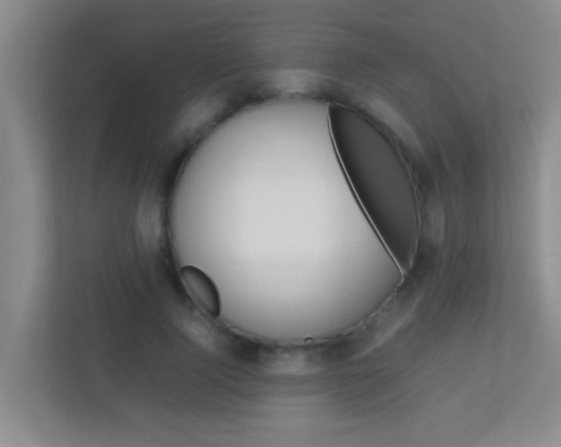 X0000113870740200909241006