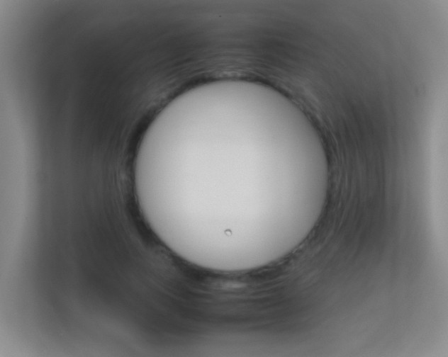X0000113870743200909241006