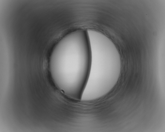 X0000113870748200909241006