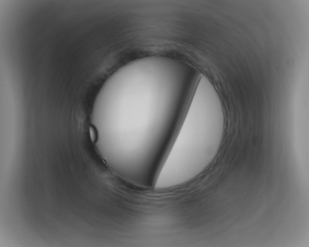 X0000113870750200909241006