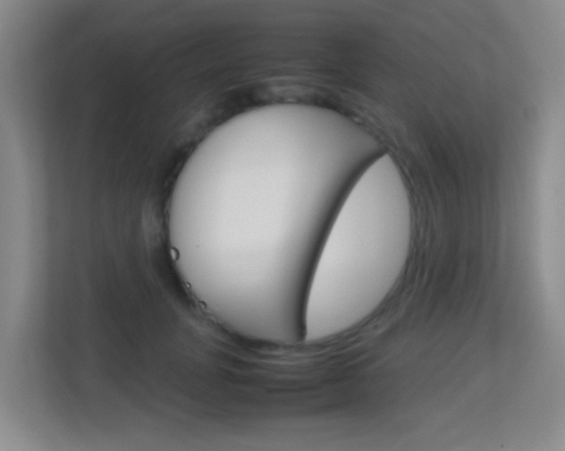 X0000113870751200909241006