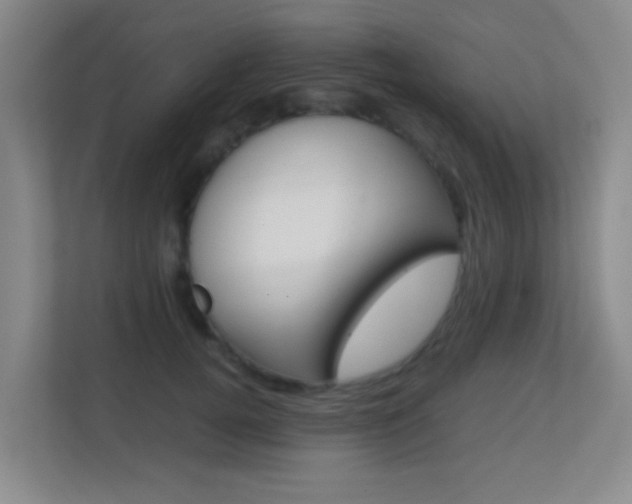 X0000113870752200909241006