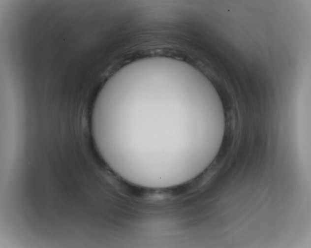 X0000113870754200909241006