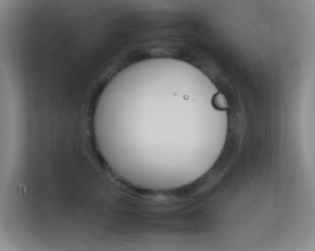 X0000113870755200909241006