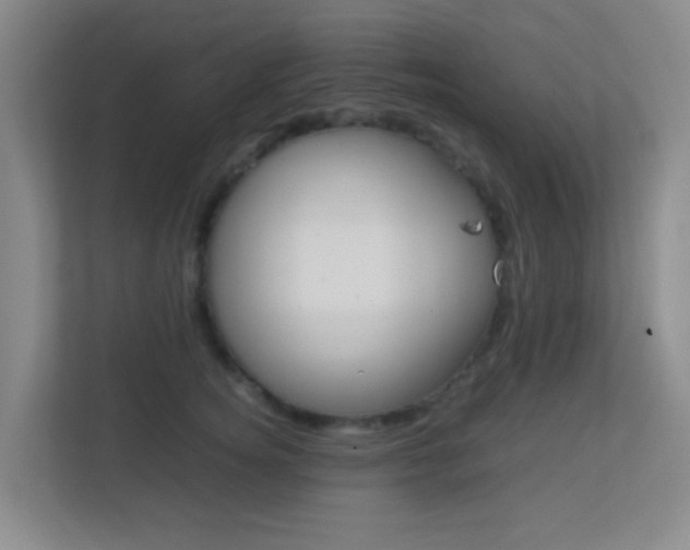 X0000113870756200909241006