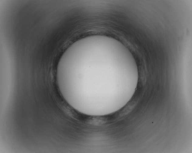 X0000113870758200909241006