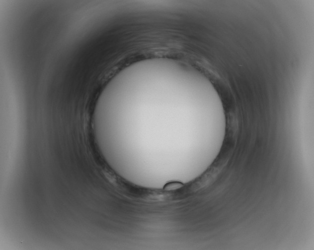 X0000113870760200909241006