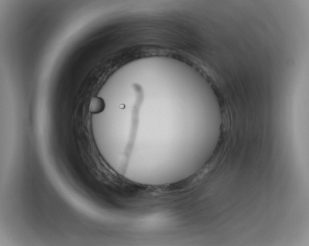 X0000113870764200909241006