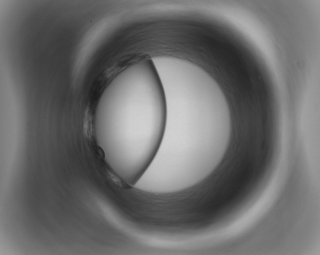 X0000113870766200909241006