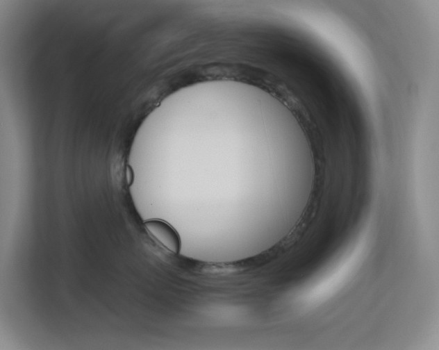 X0000113870767200909241006