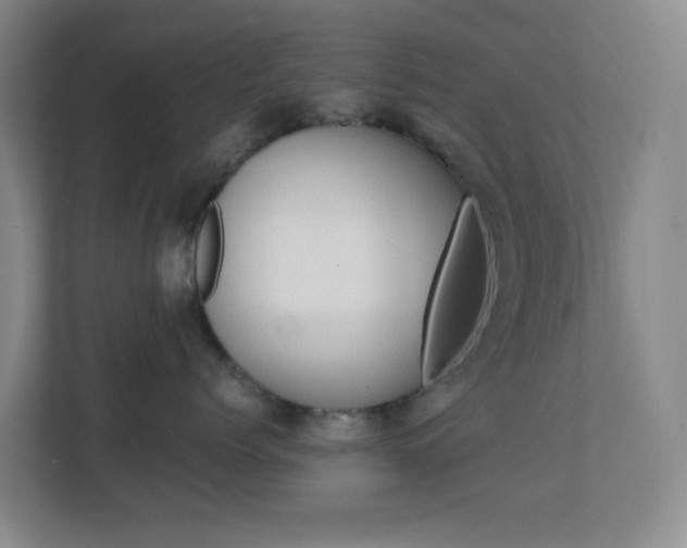 X0000113870768200909241006