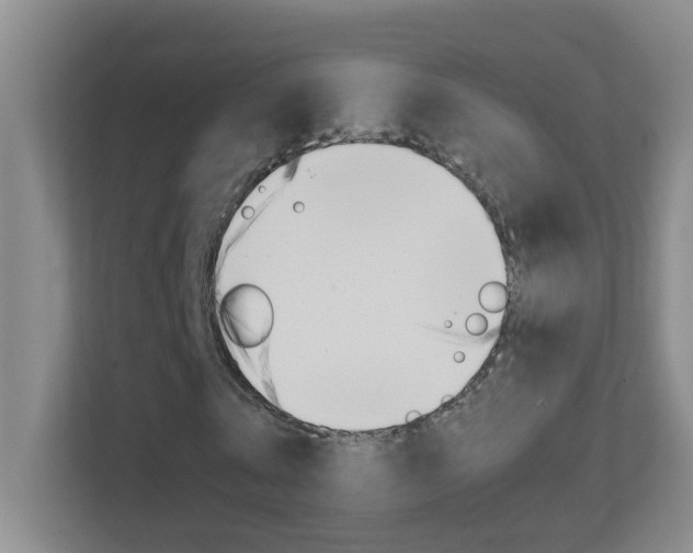 X0000113870769200909241005