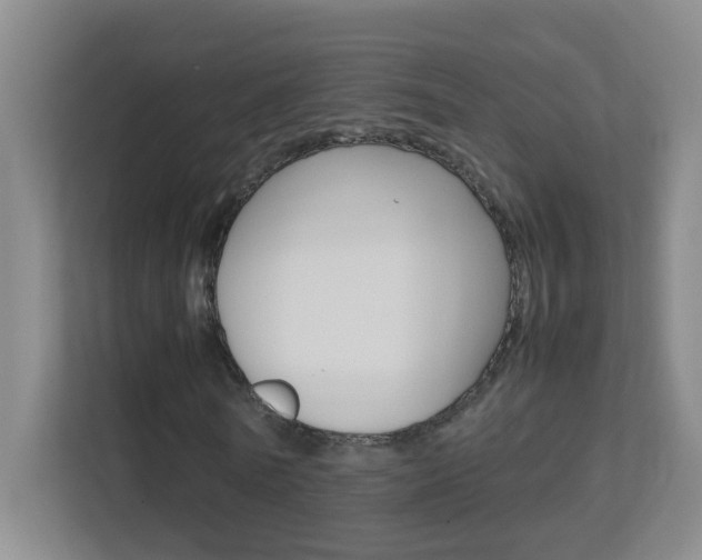 X0000113870770200909241005
