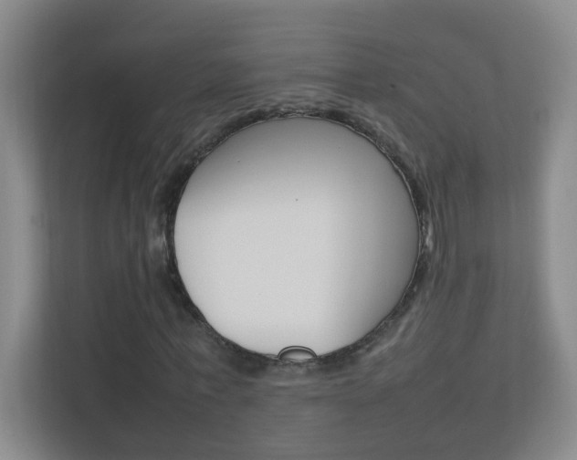 X0000113870771200909241005