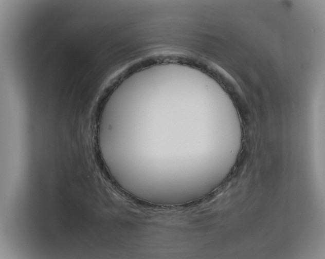 X0000113870775200909241005