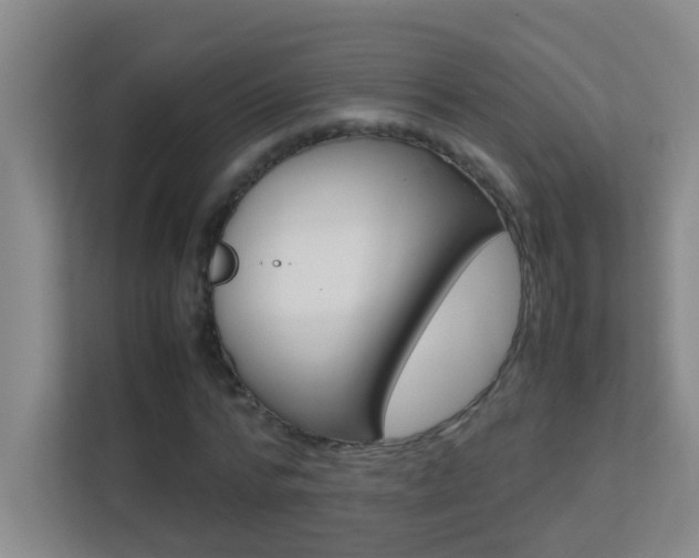 X0000113870776200909241005