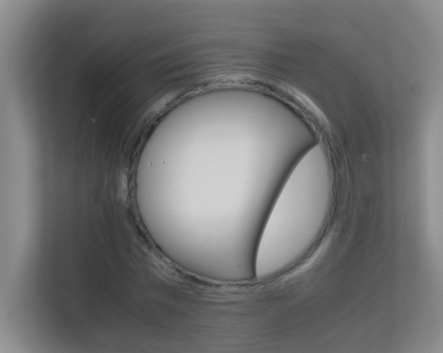 X0000113870777200909241005