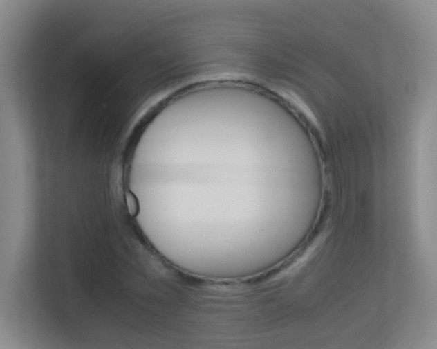 X0000113870781200909241005