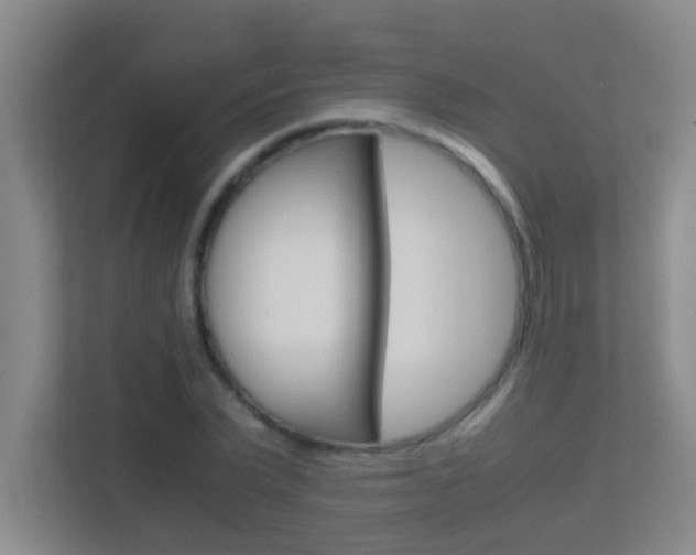 X0000113870783200909241005