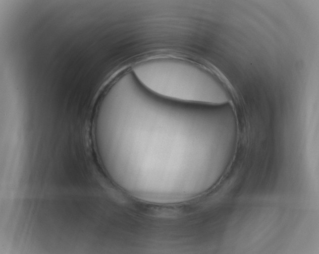 X0000113870786200909241005