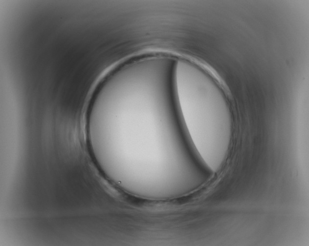 X0000113870791200909241005