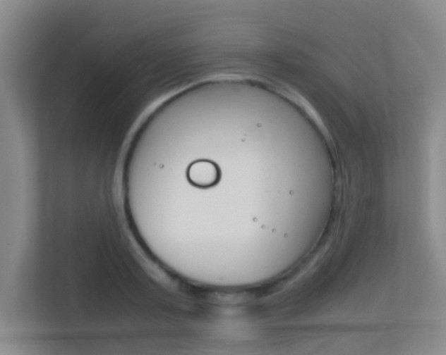 X0000113870795200909241005