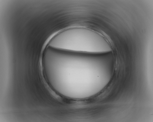 X0000113870796200909241005