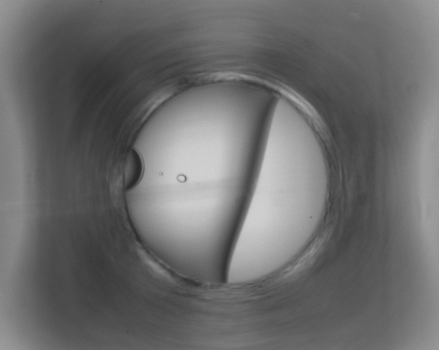 X0000113870801200909241005