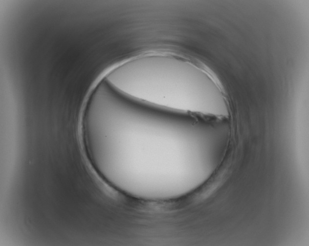X0000113870803200909241005