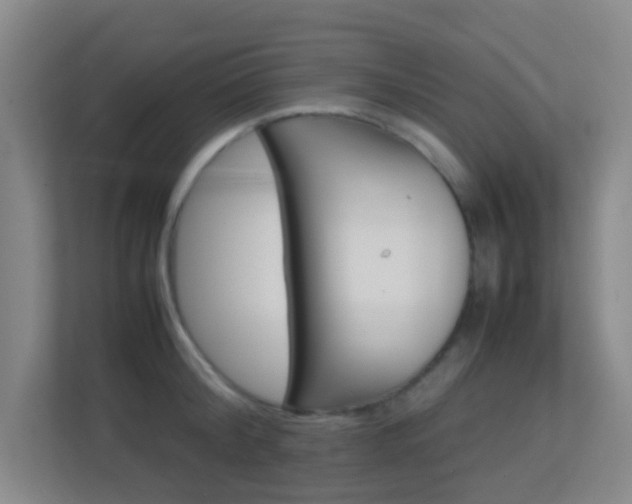 X0000113870804200909241005
