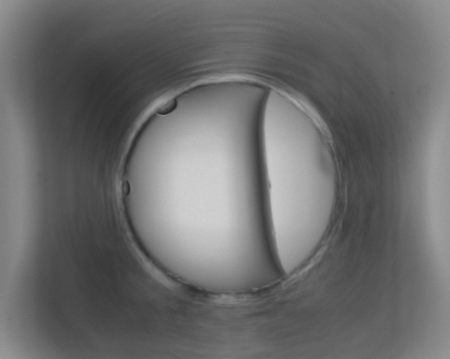 X0000113870805200909241005
