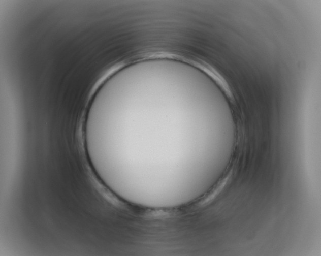 X0000113870806200909241005