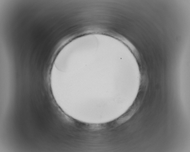 X0000113870807200909241005
