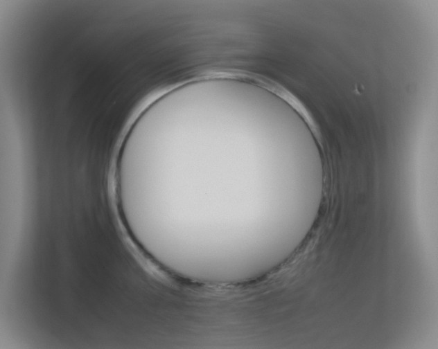 X0000113870811200909241005