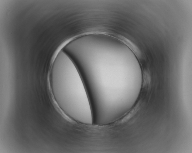 X0000113870812200909241005
