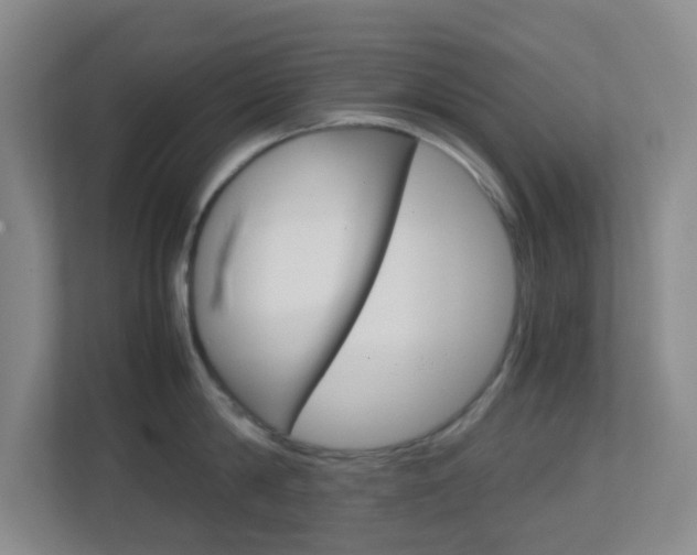 X0000113870814200909241005