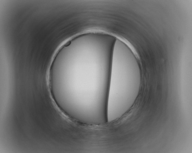 X0000113870815200909241005