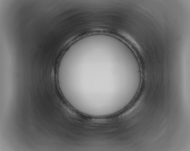 X0000113870825200909241004