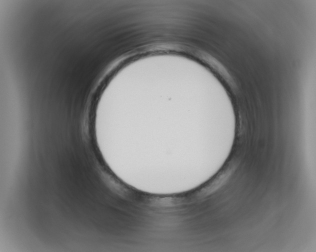 X0000113870828200909241004