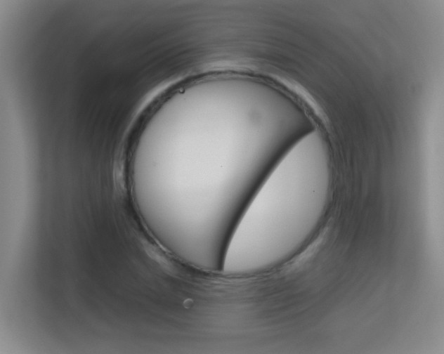 X0000113870830200909241004