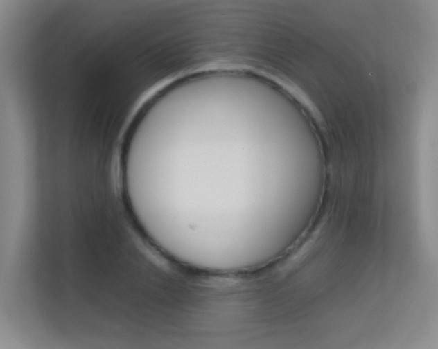 X0000113870838200909241004